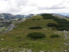 Klik za večjo sliko